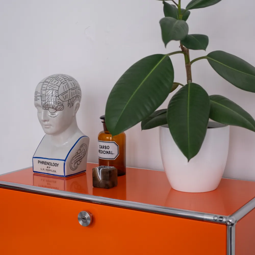 Pflanze, Apothekerflasche und dekorative Büste auf einem orangefarbenen Praxisschrank